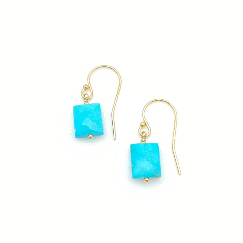 Trekker braid earrings-Laura Earrings - Turquoise (Natural)